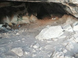 Define avcıları suçüstü yakalandı