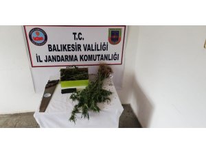 Jandarmadan uyuşturucu operasyonu