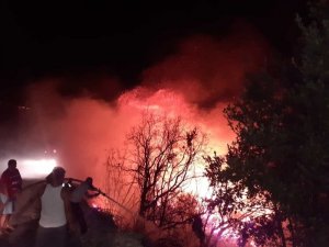 Samandağ’da otluk alanda çıkan yangın korkuttu