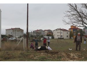 Elektrik kaçağı hayvanları telef etti