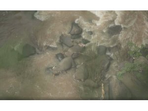 Taylan’da milli parkta 6 fil boğuldu