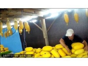 Ne yaptığını öğrenince çok şaşıracaksınız