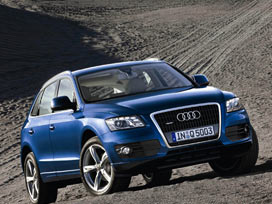 Q5 2010'un en iyi 'off road' aracı