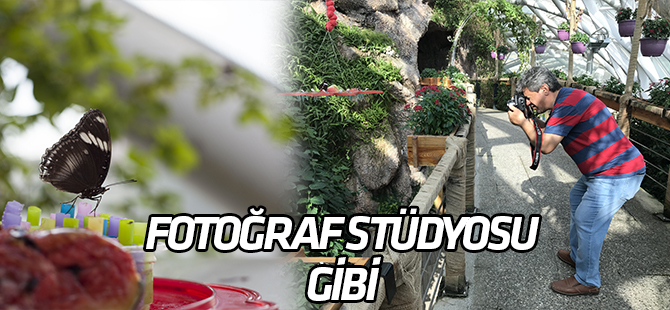 "Fotoğraf stüdyosu" gibi kelebek bahçesi