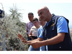 Manisalı orman köylüsünün yüzü ORKÖY’le güldü