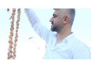 Üzümün cevizle buluştuğu gelenek: "Cevizli sucuk"