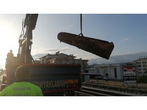 Yola dökülen tomruklar kazaya neden oldu