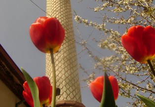 Köy imamının çiçek sevgisi