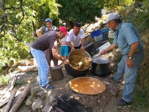 Oğlunun kestiği ağacın altında kalarak can verdi
