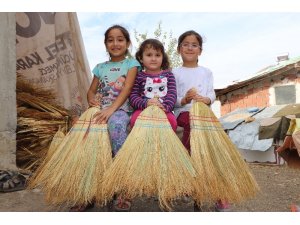 Türkiye’nin el süpürgeleri ve tohumları Samsun’dan
