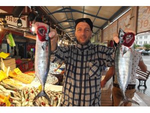 Marmara’nın ilk palamutları tezgahlardaki yerini aldı