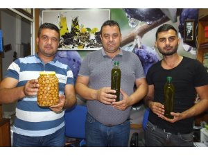 Burhaniye’de zeytinyağındaki kalite üreticiyi sevindirdi