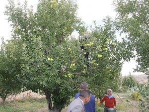 Kaymakam Kılınç elma hasatı yapan işçilerle buluştu