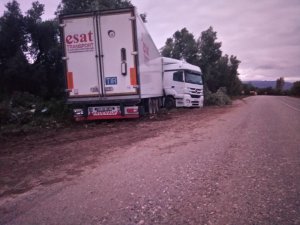 Ayva yüklü tır çarptığı zeytin ağaçlarını kökünden söktü