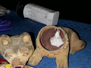 Bolu’da uyuşturucu operasyonu: 1 tutukluma