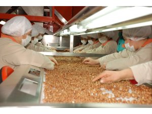 Ordu’dan 8 ayda 150 milyon dolarlık ihracat