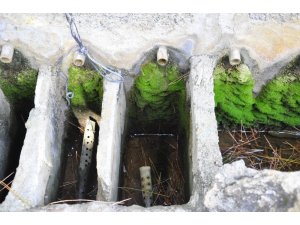 Türkiye’nin muz ihtiyacının 5’te birini karşılayan mahalle susuzluk sebebiyle üretimi bırakıyor