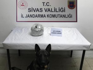 Sivas'ta kaçakçılıkla mücadele çalışmaları