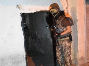 GÜNCELLEME 2- Adana merkezli organize suç örgütüne yönelik operasyon