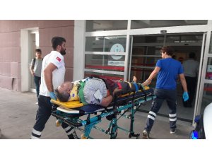 Ağaçtan düşen adam yaralandı