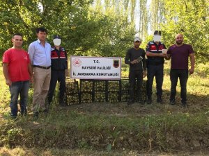 Para ve elma çalan hırsız jandarma tarafından yakalandı