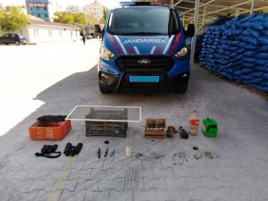 Tuzak kurarak şahin avı yapan avcılar yakalandı