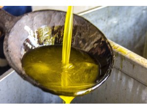 İnternetten zeytinyağı alırken dikkat edin