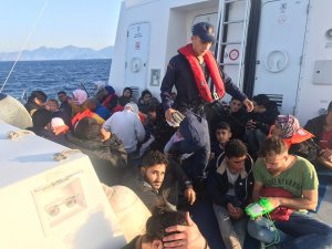 Muğla'da 118 düzensiz göçmen yakalandı