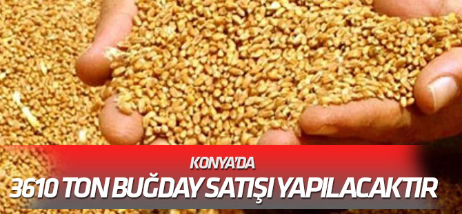 Konya'da 3610 ton buğday satışı yapılacak
