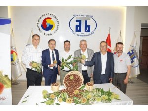 Aydın’da sezonun ilk kestanesi borsaya teslim edildi