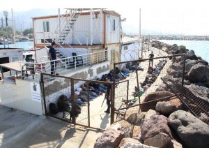 Tur teknesine turist gibi bindiler, Yunanistan’a kaçarken yakalandılar