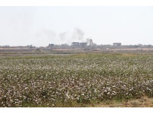 Mardin’de teröristlerden taciz ateşi
