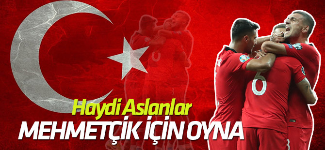 Haydi Aslanlar! Mehmetçik için oyna!