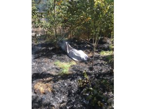 Kuru yaprakları yakarken alevlerin arasında kalarak can verdi