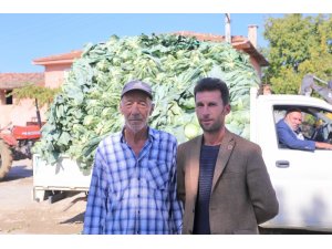 Karnabahar tarlada 3 lira, pazarda 7 lira