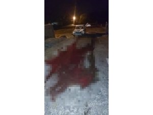 İneğe çarpan araçtaki 2 kişi yaralandı