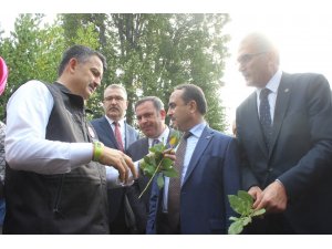 Bakan Pakdemirli defne ve kestane hasadı ile bal sağımı yaptı
