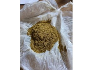 Uyuşturucu kullanan şahıslar yakalandı