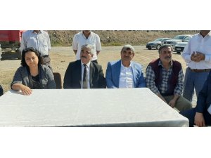 Ulaş'ta şeker pancarı hasadına başlandı
