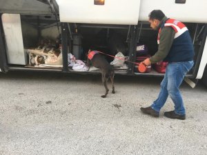 Yolcunun üzerinde uyuşturucu ele geçirildi