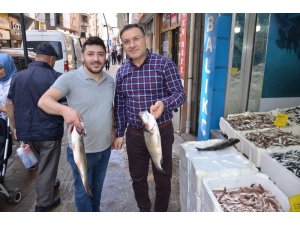 Tezgahlarda bir tek palamut eksik