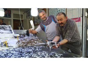 Mustafa Çelebi; “Hamsinin ömrü tükeniyor”