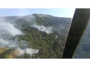 Kazdağları’nda orman yangını kontrol altına alındı