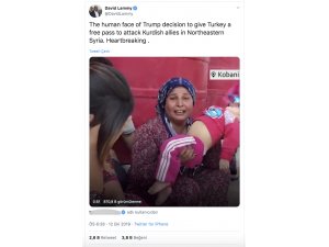 İngiliz vekil YPG/PKK'nın kara propagandasına alet oldu