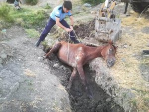 Sahipsiz atı itfaiye kurtardı