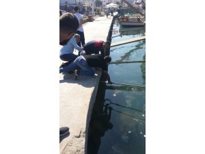 Denize düşen kediyi itfaiye ekipleri kurtardı