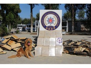 Arı kovanlarının içine gizlenmiş 152 kilo eroin ele geçirildi