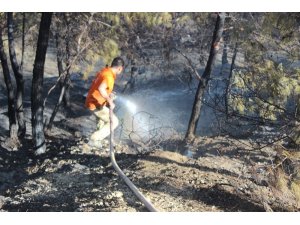 Hatay’da orman yangını
