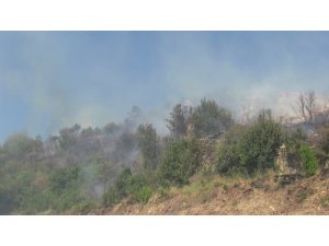 Samandağ’da bitki örtüsü yangını