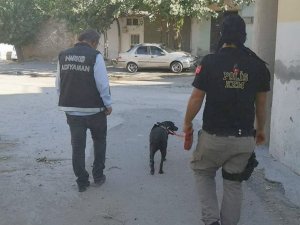 NARKO ekipleri, uyuşturucuya geçit vermiyor